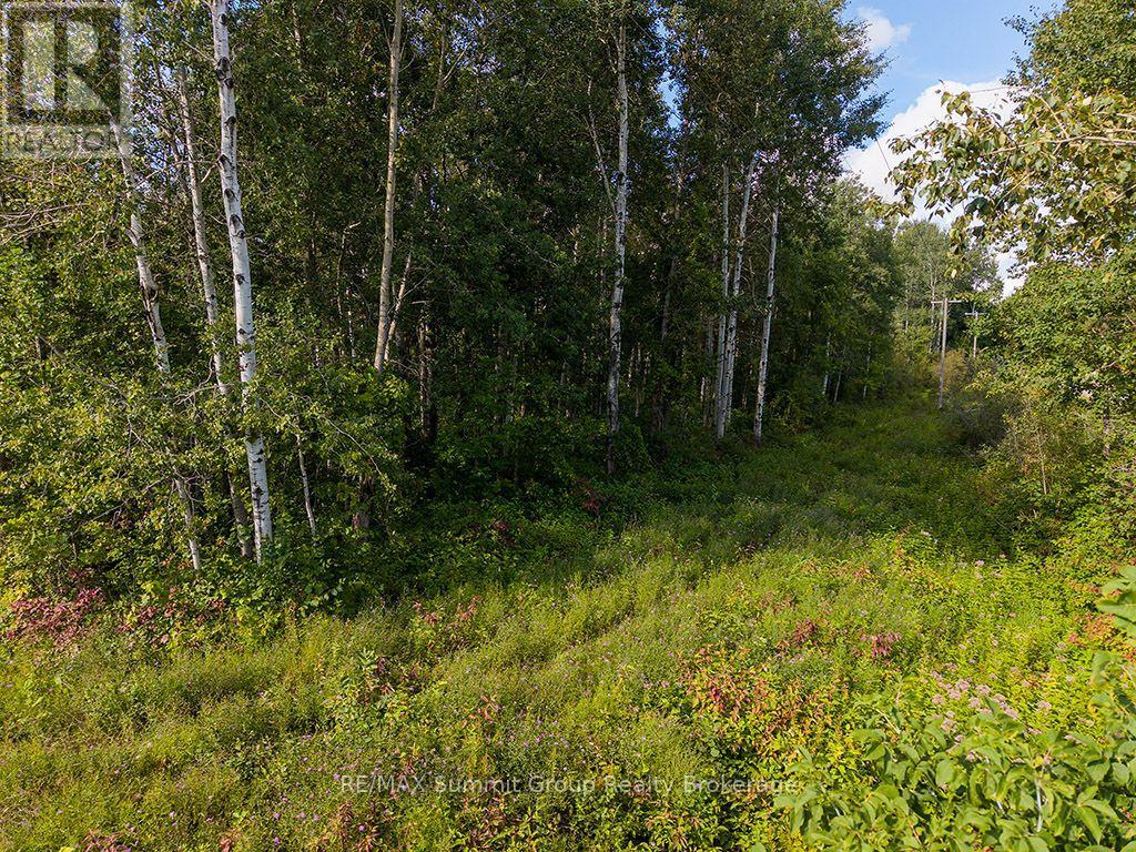 Pt Lt 70 West Back Line Property Photo 3