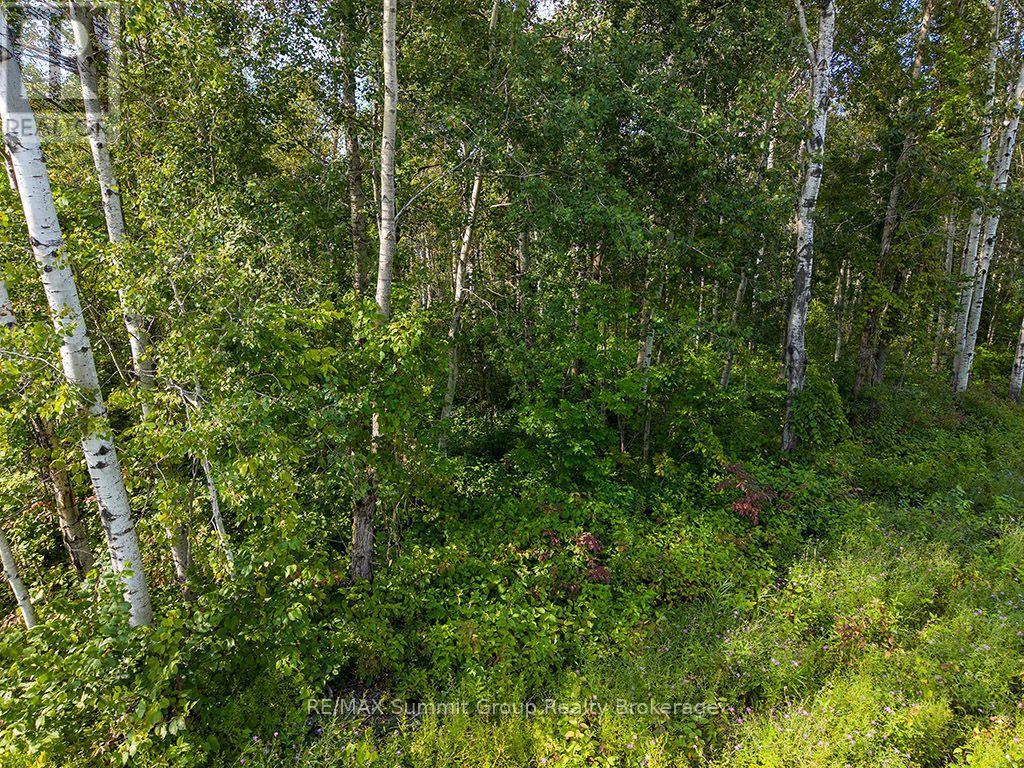Pt Lt 70 West Back Line Property Photo 4