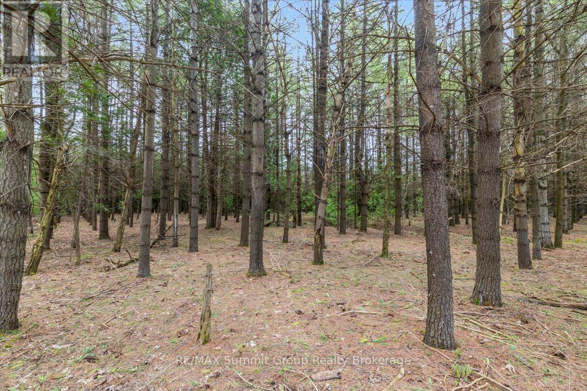 Pt Lt 70 West Back Line Property Photo 10