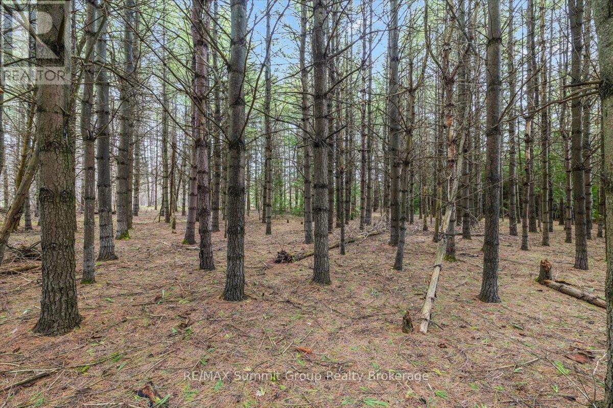 Pt Lt 70 West Back Line Property Photo 11