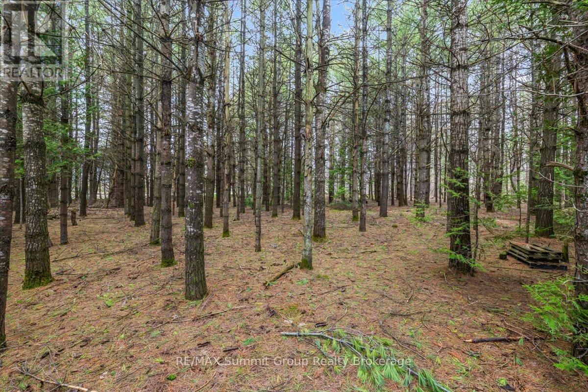 Pt Lt 70 West Back Line Property Photo 12