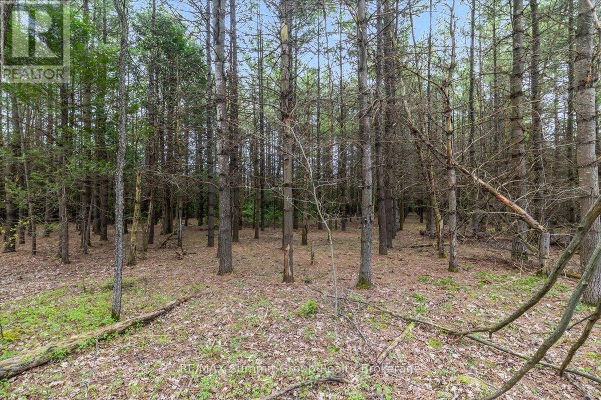 Pt Lt 70 West Back Line Property Photo 13