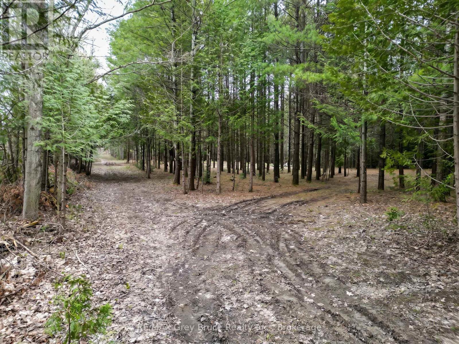 523782 Concession 12 Road Property Photo 2
