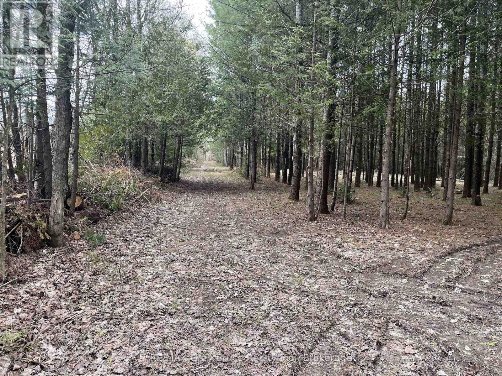 523782 Concession 12 Road Property Photo 4