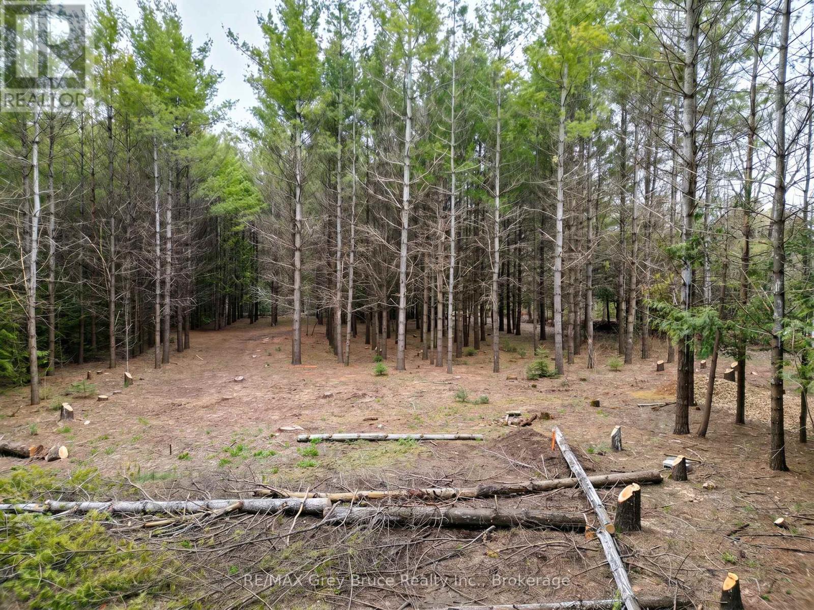 523782 Concession 12 Road Property Photo 6