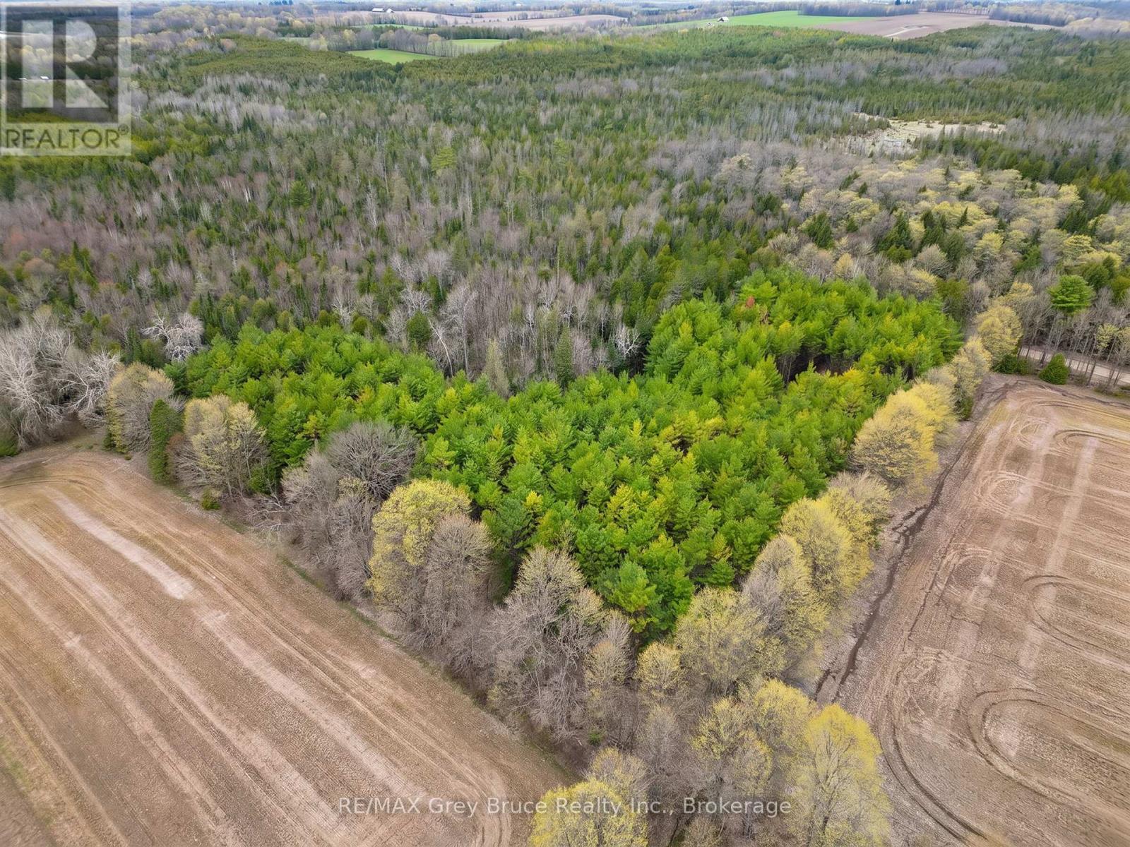 523782 Concession 12 Road Property Photo 9