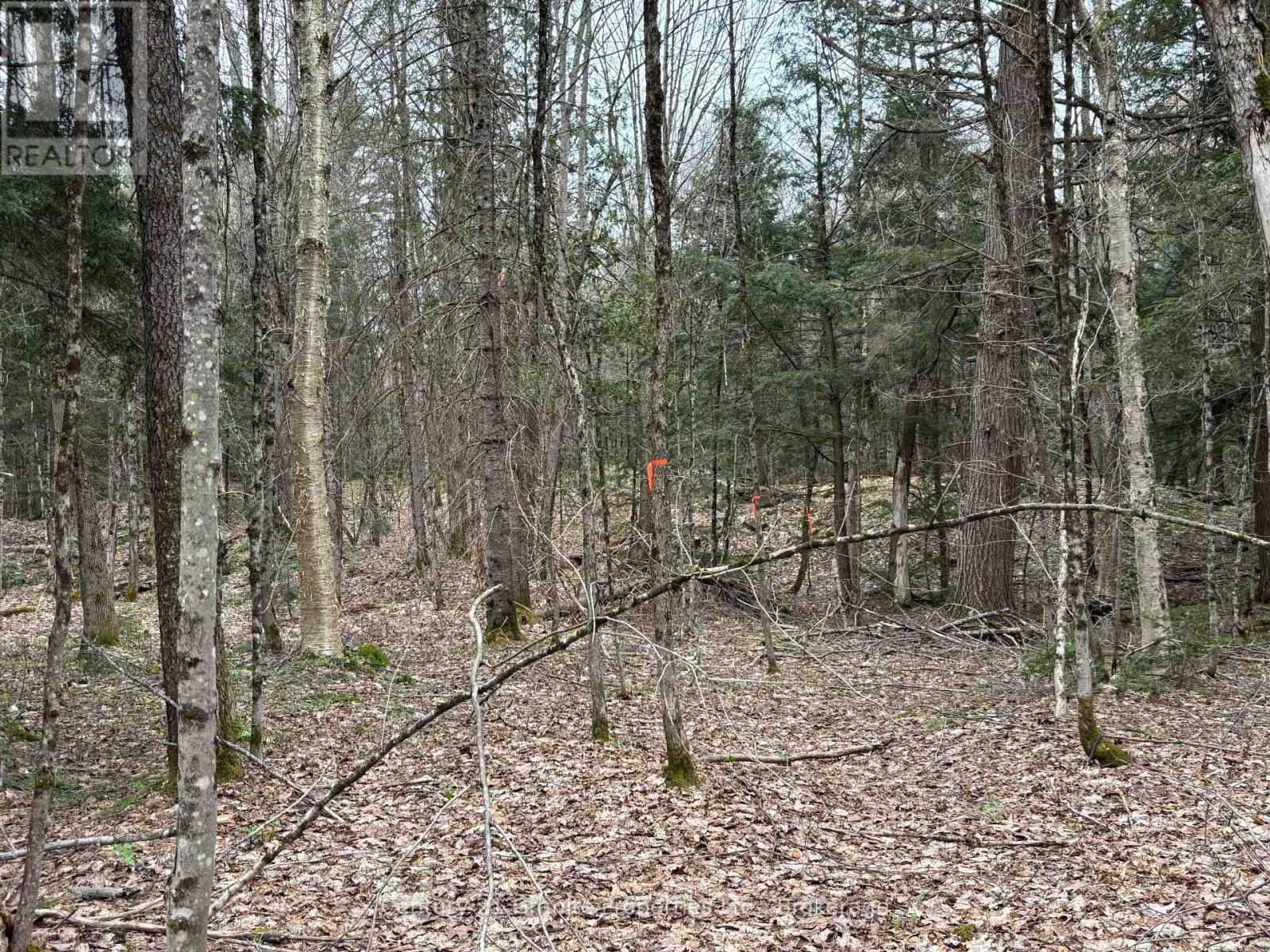 Lot 1 Loch Erne Road Property Photo 1