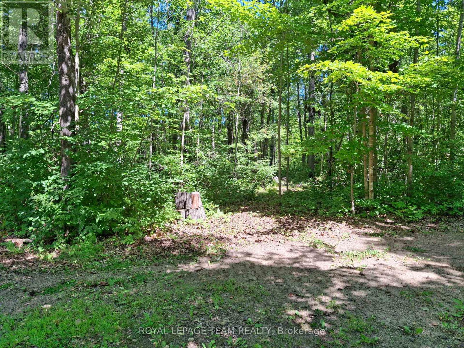 112 Golfers Lane Property Photo 43
