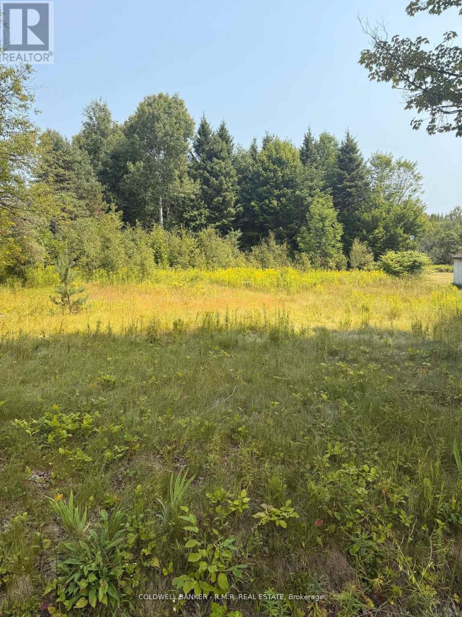 3995 Boulter Road Property Photo 1