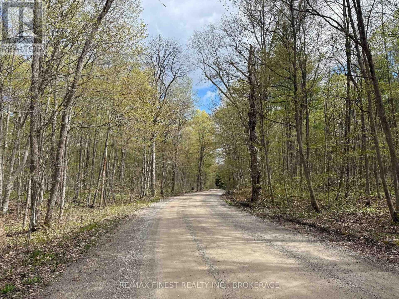 162 Black Rapids Road Property Photo 1