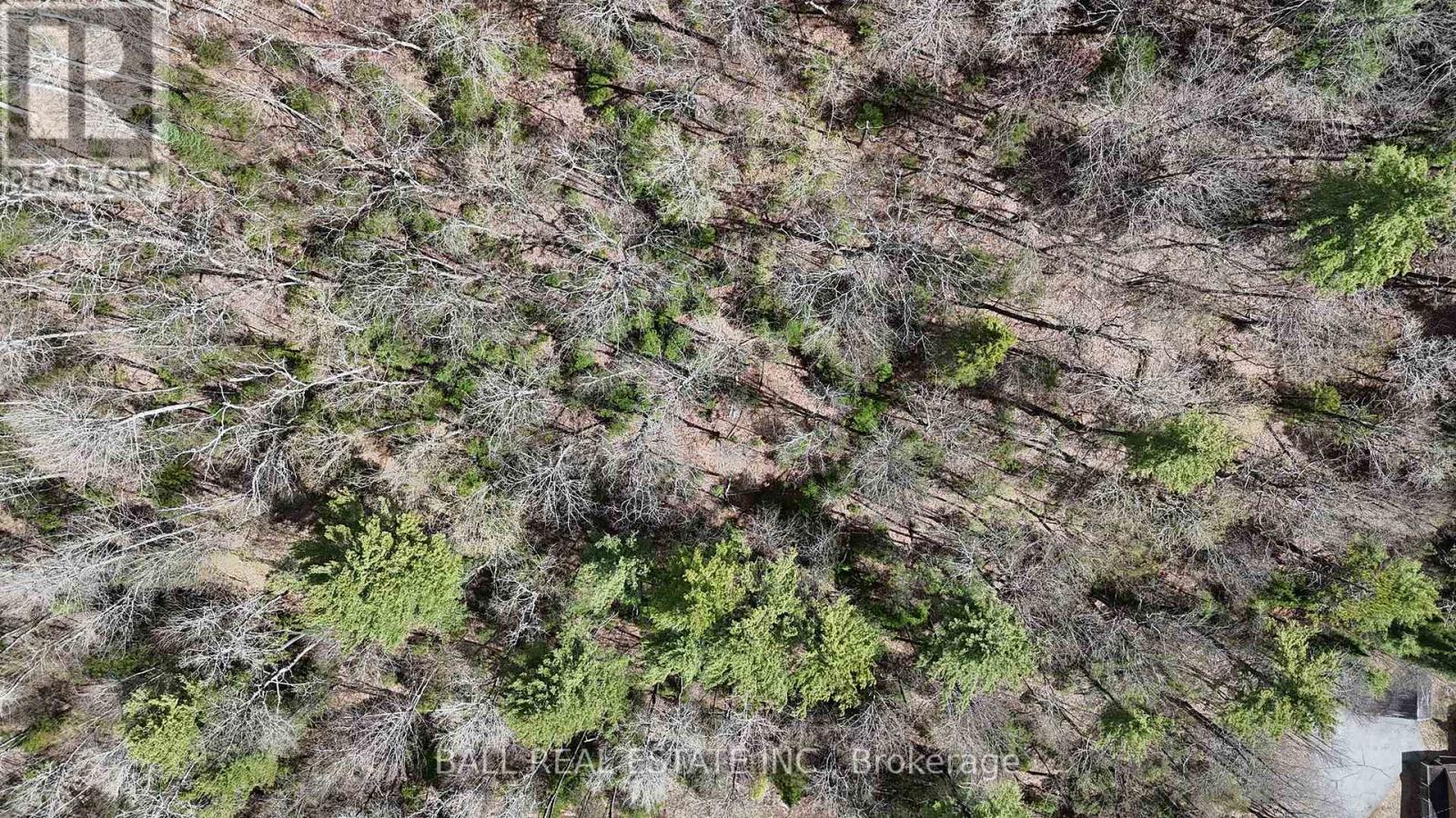 00 Highway 62 N Property Photo 5