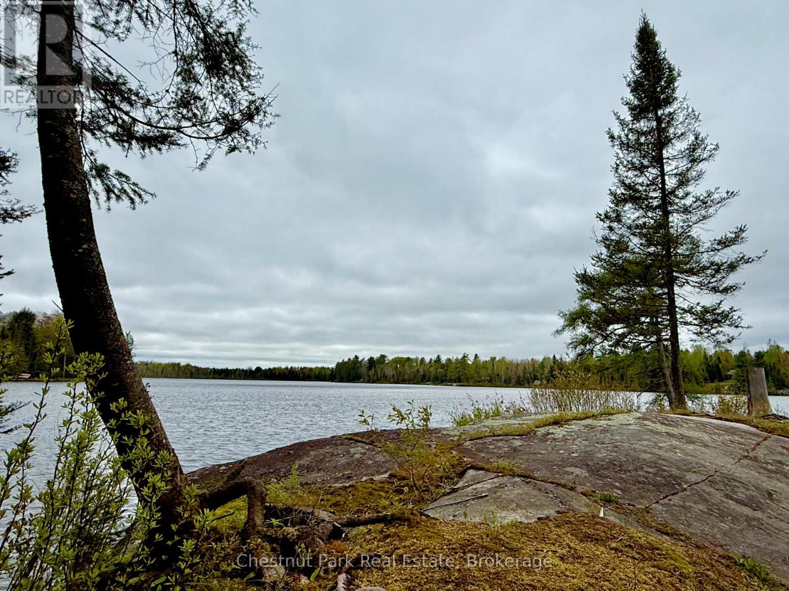 0 King Lake Property Photo 2