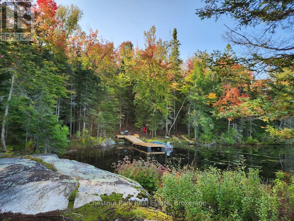 0 King Lake Property Photo 8