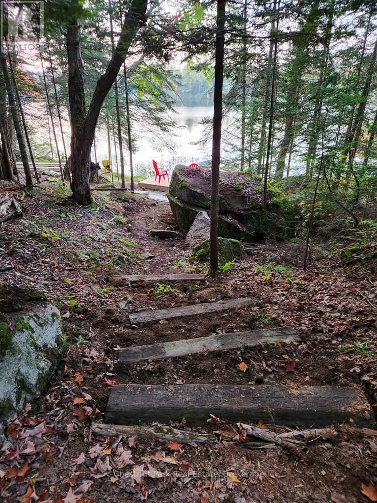 0 King Lake Property Photo 12