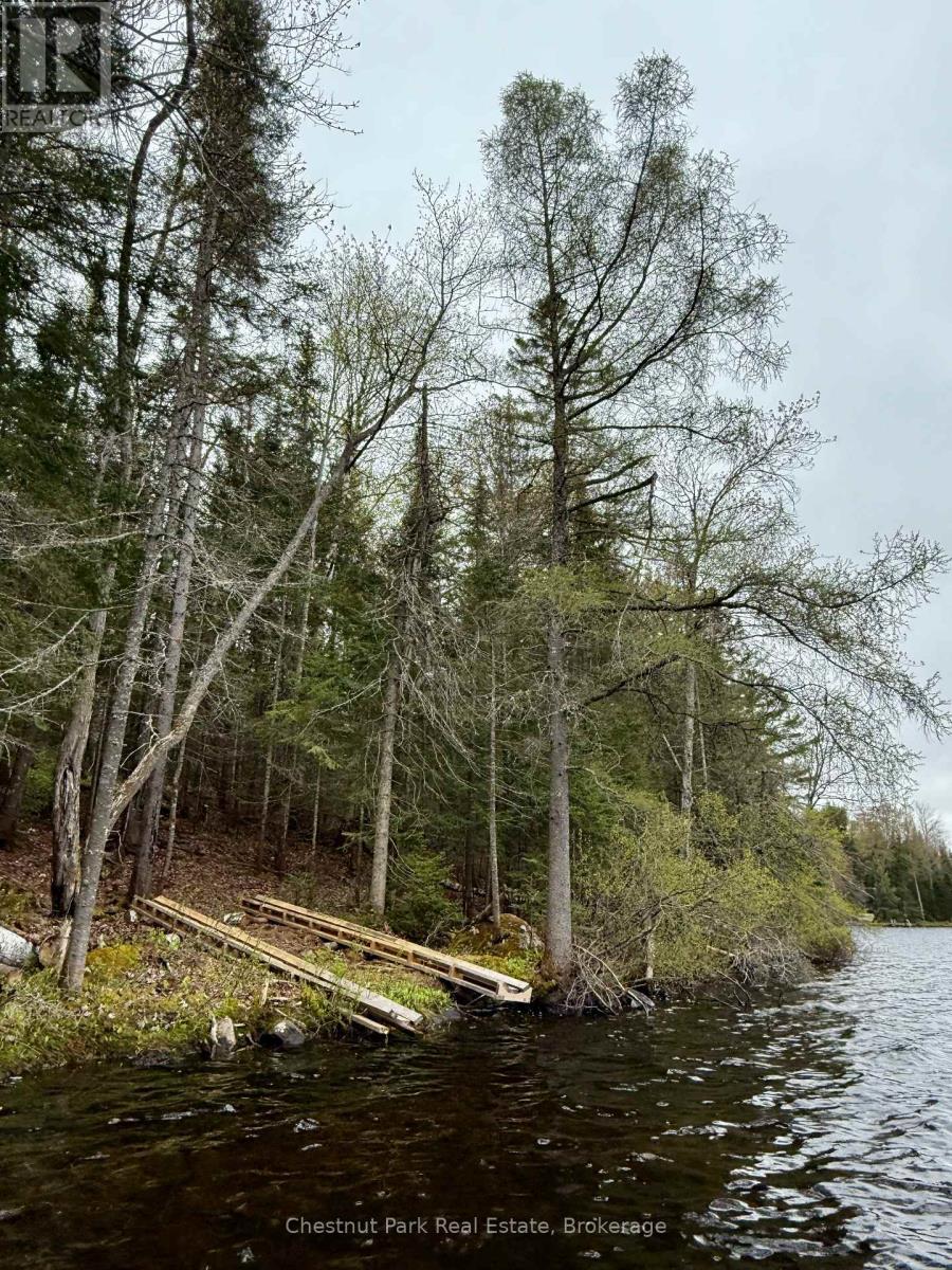 0 King Lake Property Photo 16