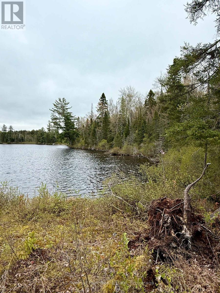 0 King Lake Property Photo 18