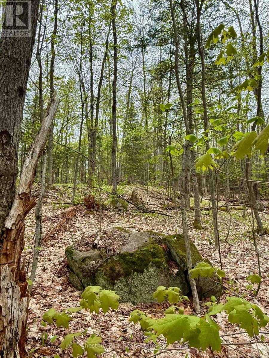 0 King Lake Property Photo 25