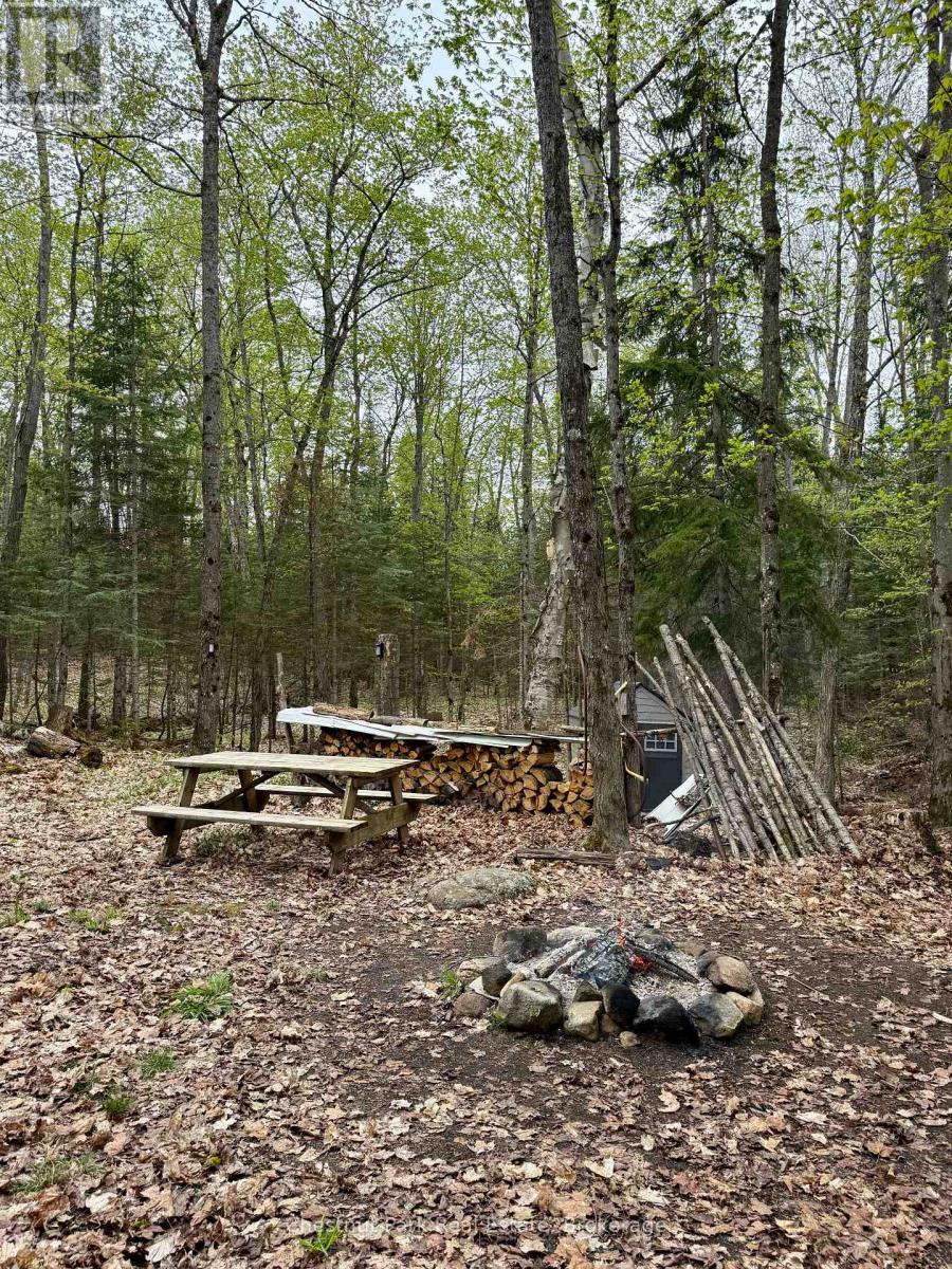 0 King Lake Property Photo 26