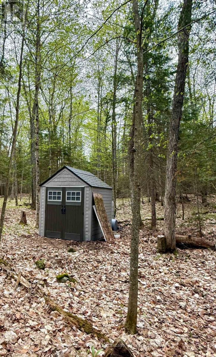 0 King Lake Property Photo 27
