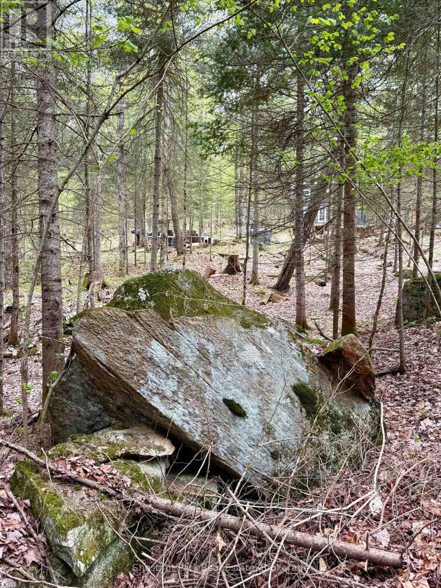 0 King Lake Property Photo 29