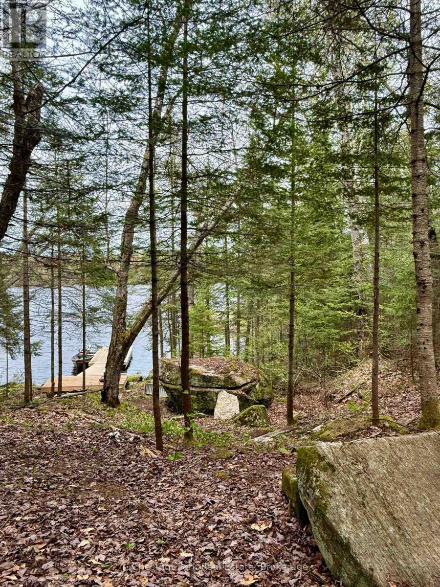 0 King Lake Property Photo 30