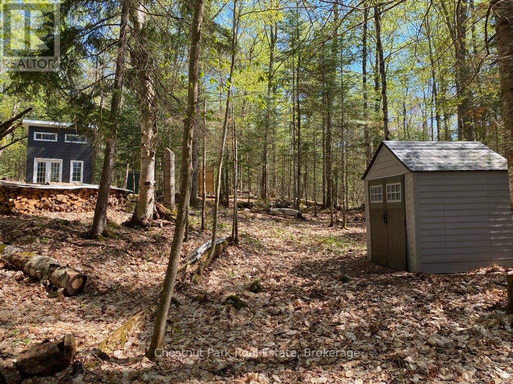 0 King Lake Property Photo 31