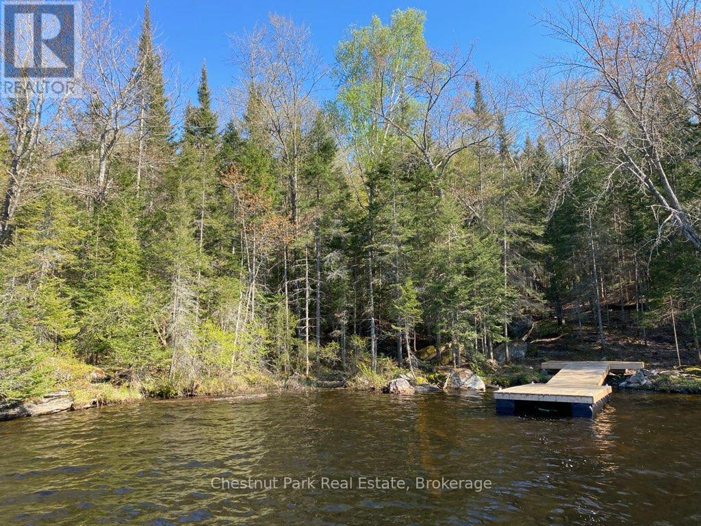 0 King Lake Property Photo 33