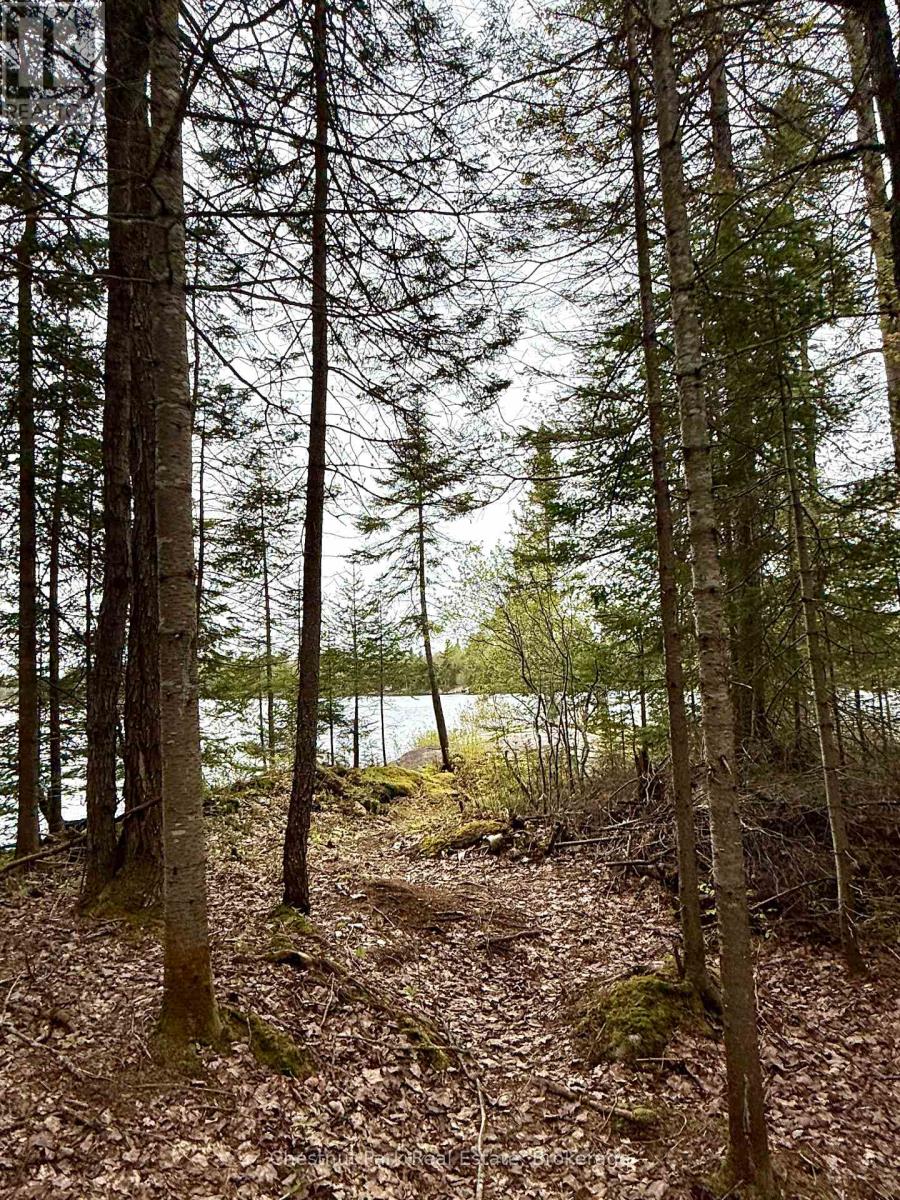 0 King Lake Property Photo 35