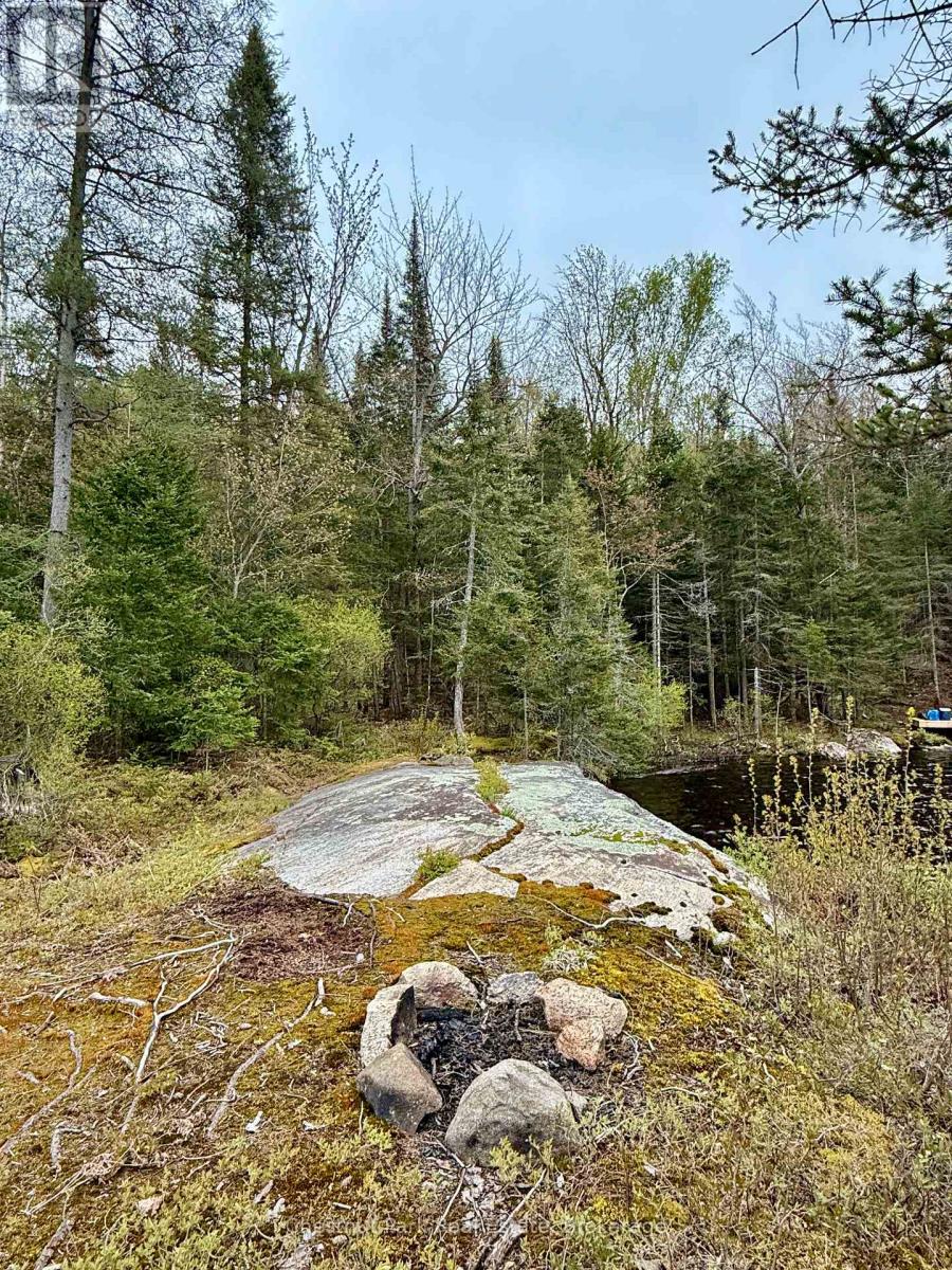 0 King Lake Property Photo 36