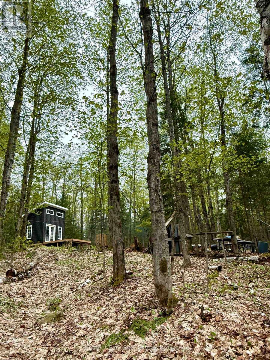 0 King Lake Property Photo 37