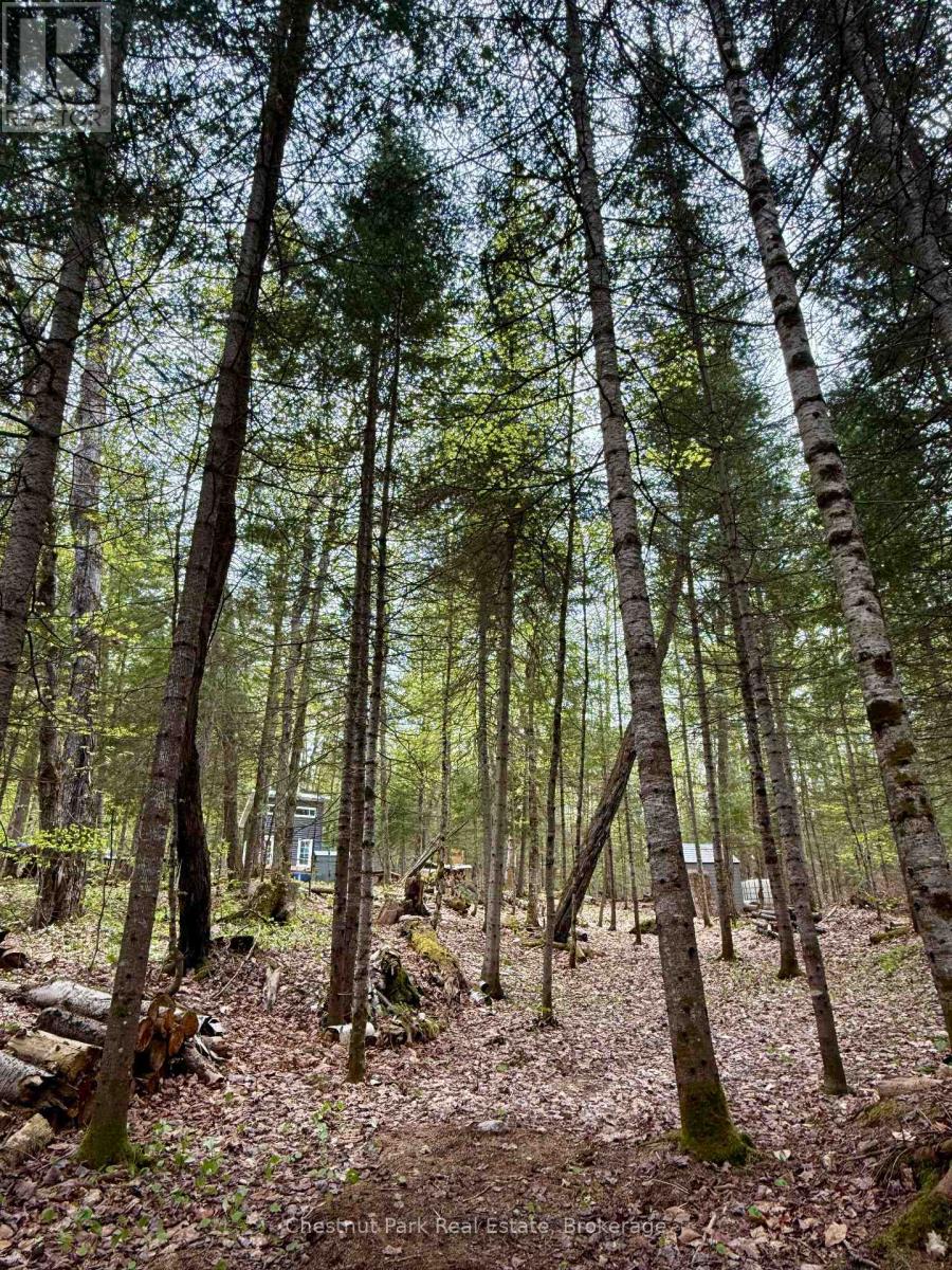 0 King Lake Property Photo 39