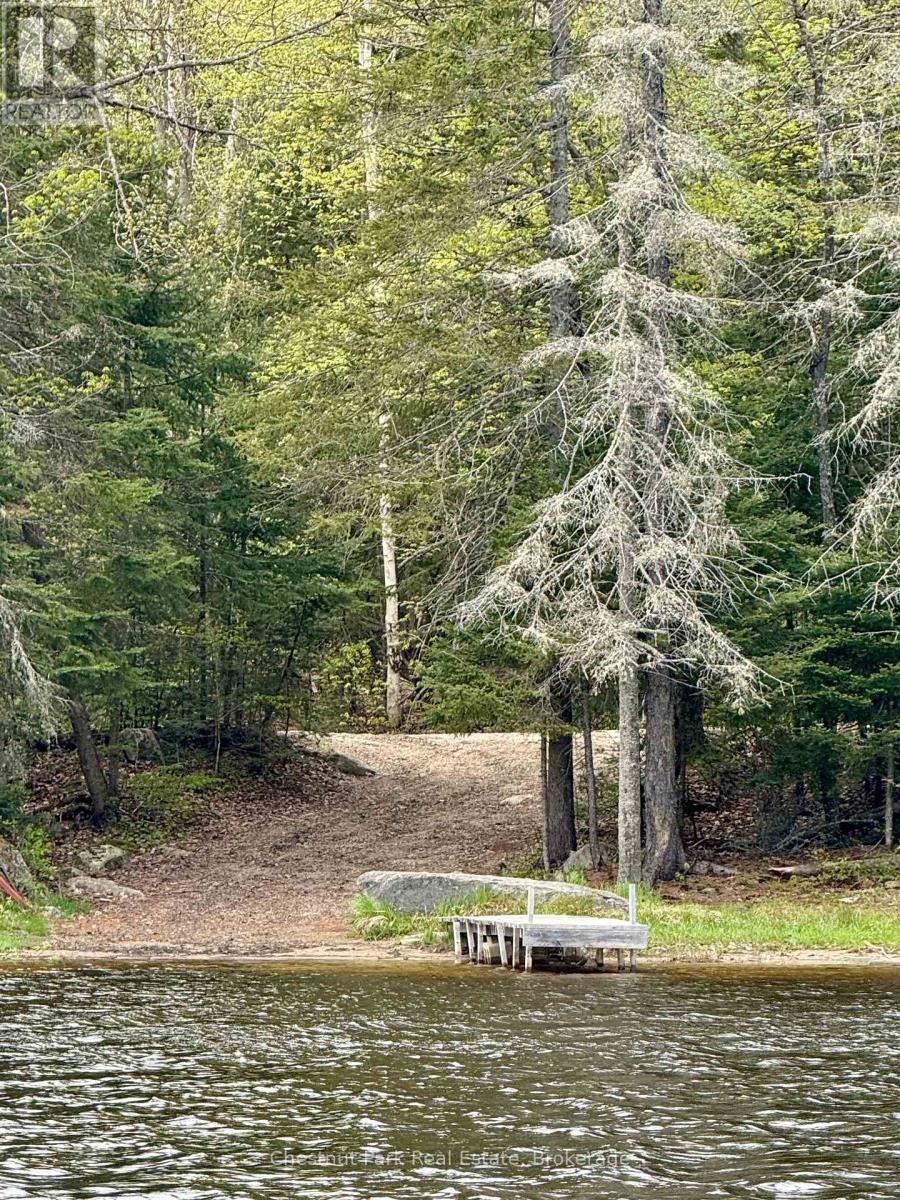 0 King Lake Property Photo 41
