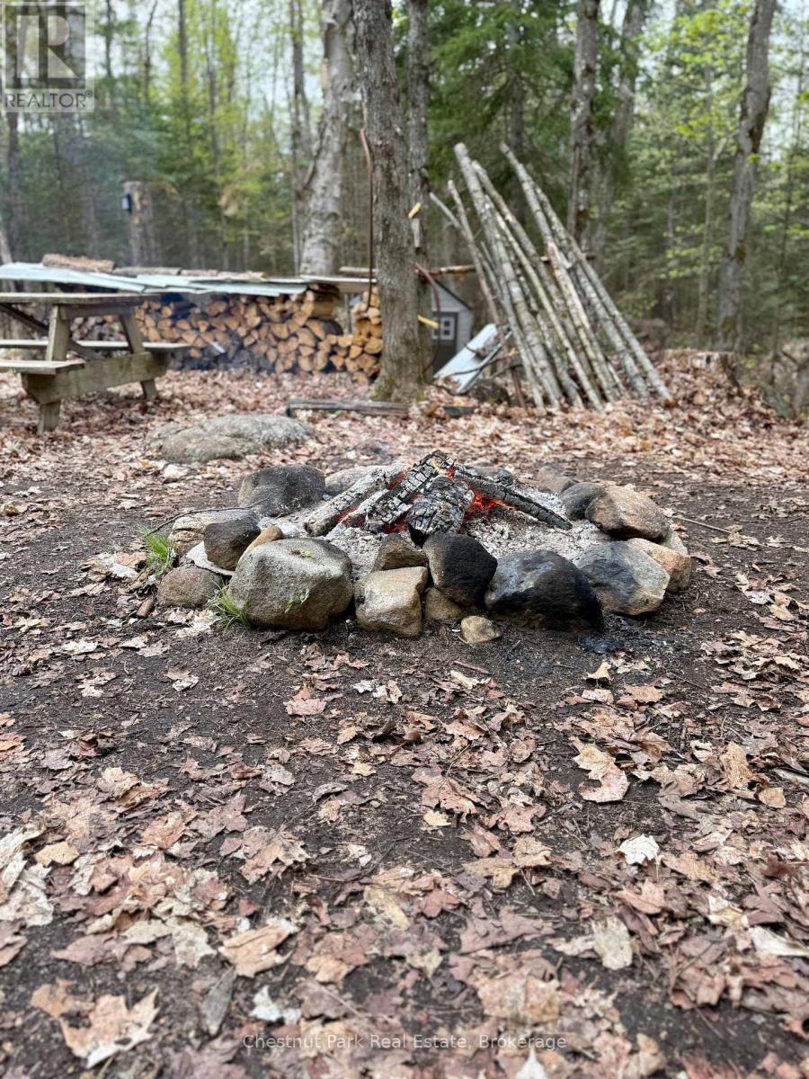 0 King Lake Property Photo 43