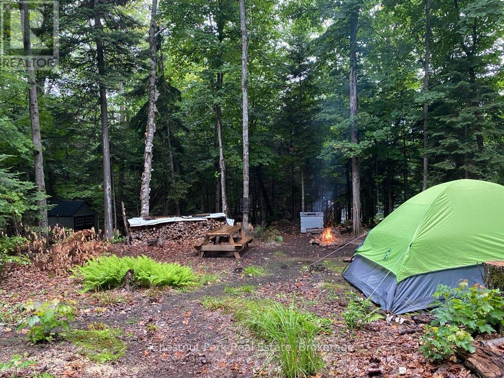 0 King Lake Property Photo 46