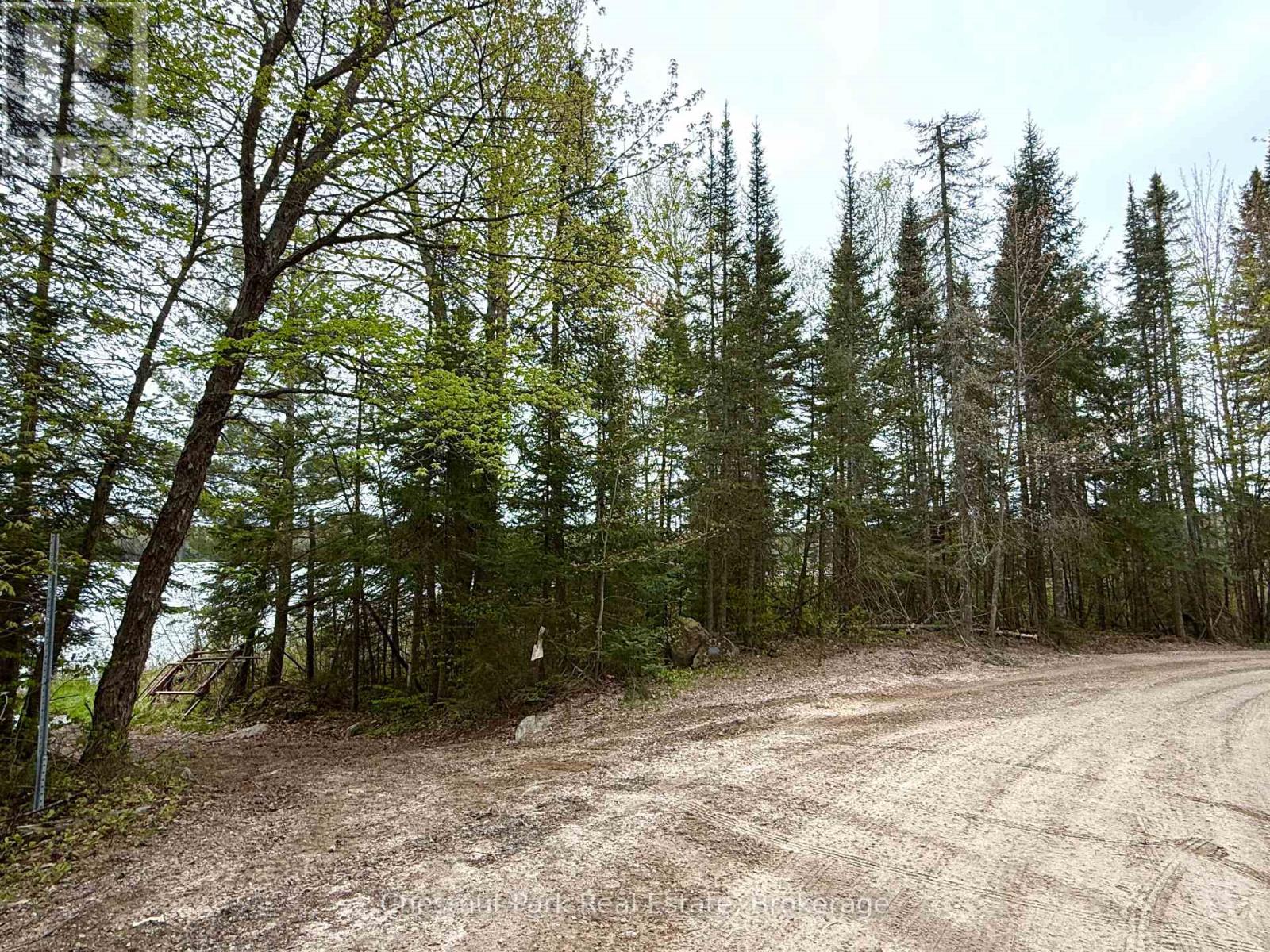 0 King Lake Property Photo 47