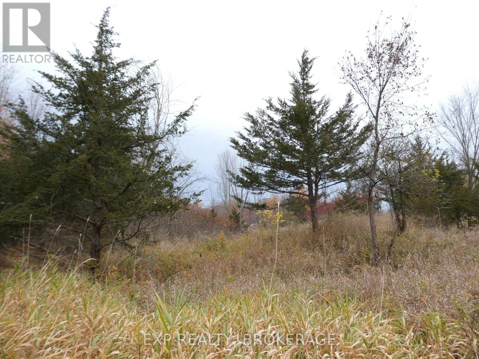 Pt Lt 5 Con 4 James Wilson Road Property Photo 7
