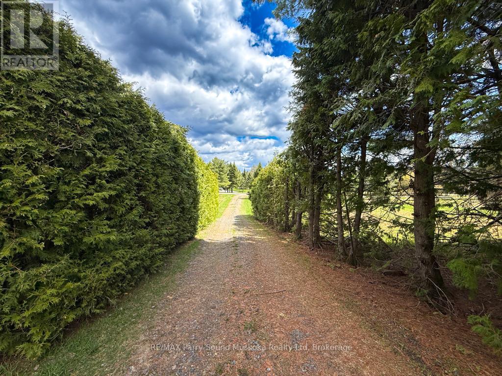 43 Bears Paw W Property Photo 32