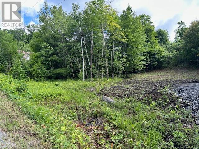 4 Mcnaughts Road Property Photo 2
