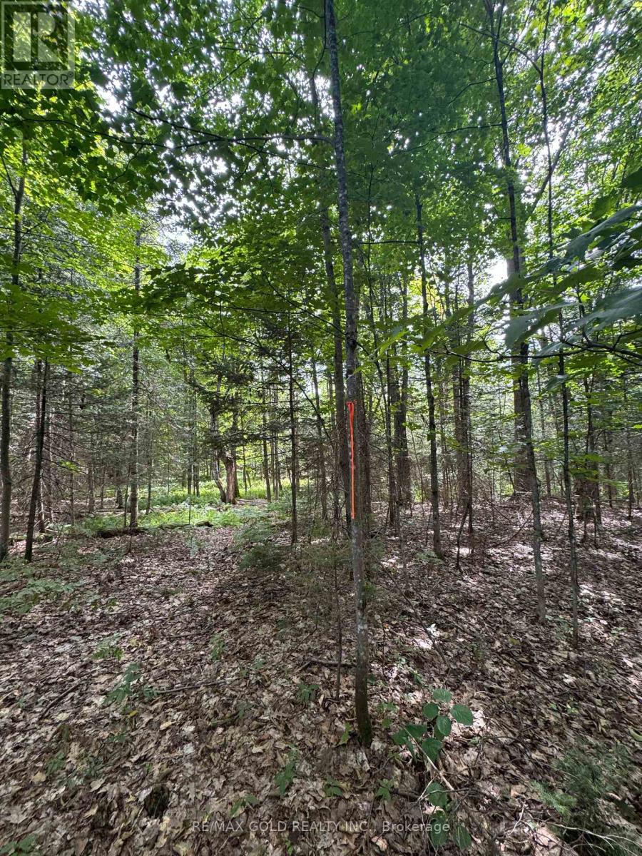 1791 Alsace Road Property Photo 3