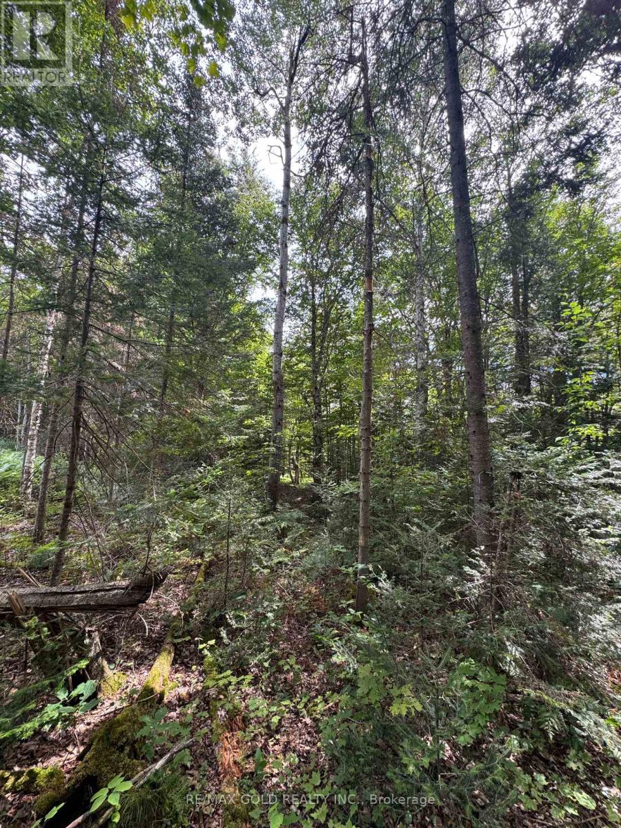 1791 Alsace Road Property Photo 4