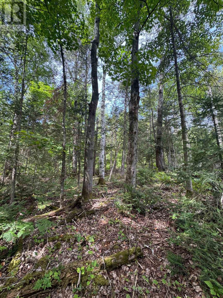 1791 Alsace Road Property Photo 5