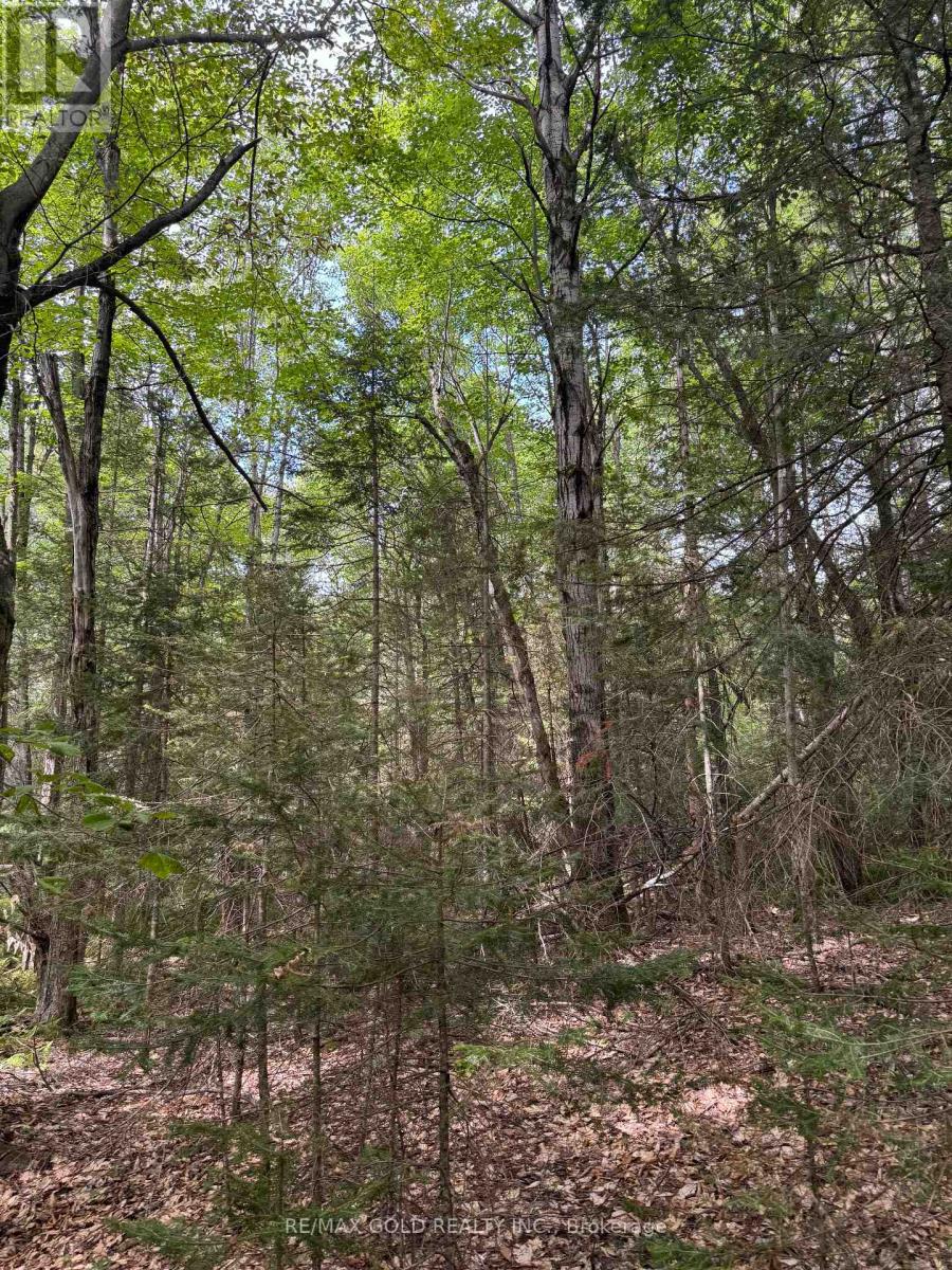 1791 Alsace Road Property Photo 7