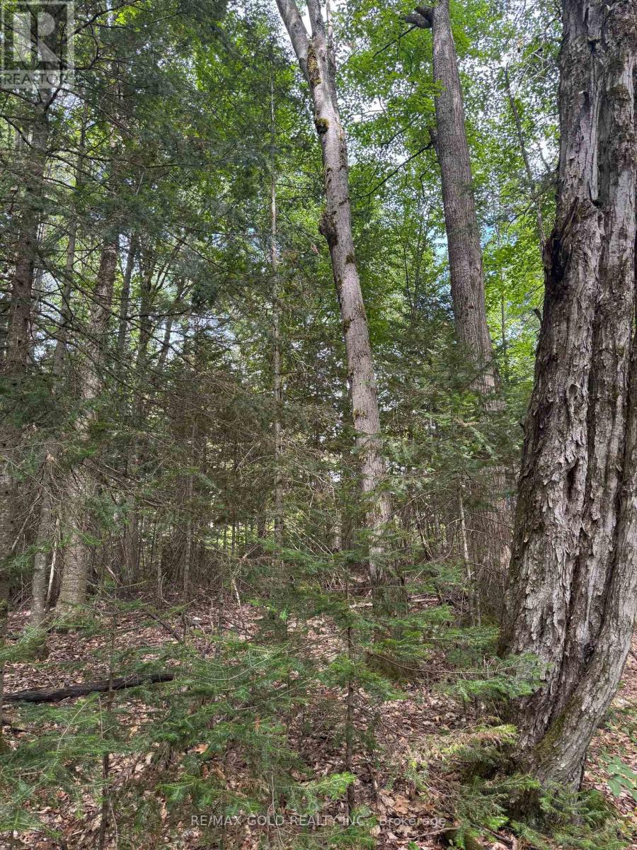 1791 Alsace Road Property Photo 8
