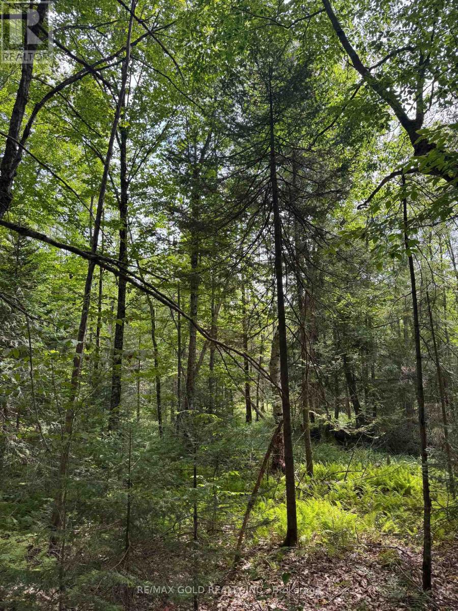 1791 Alsace Road Property Photo 10