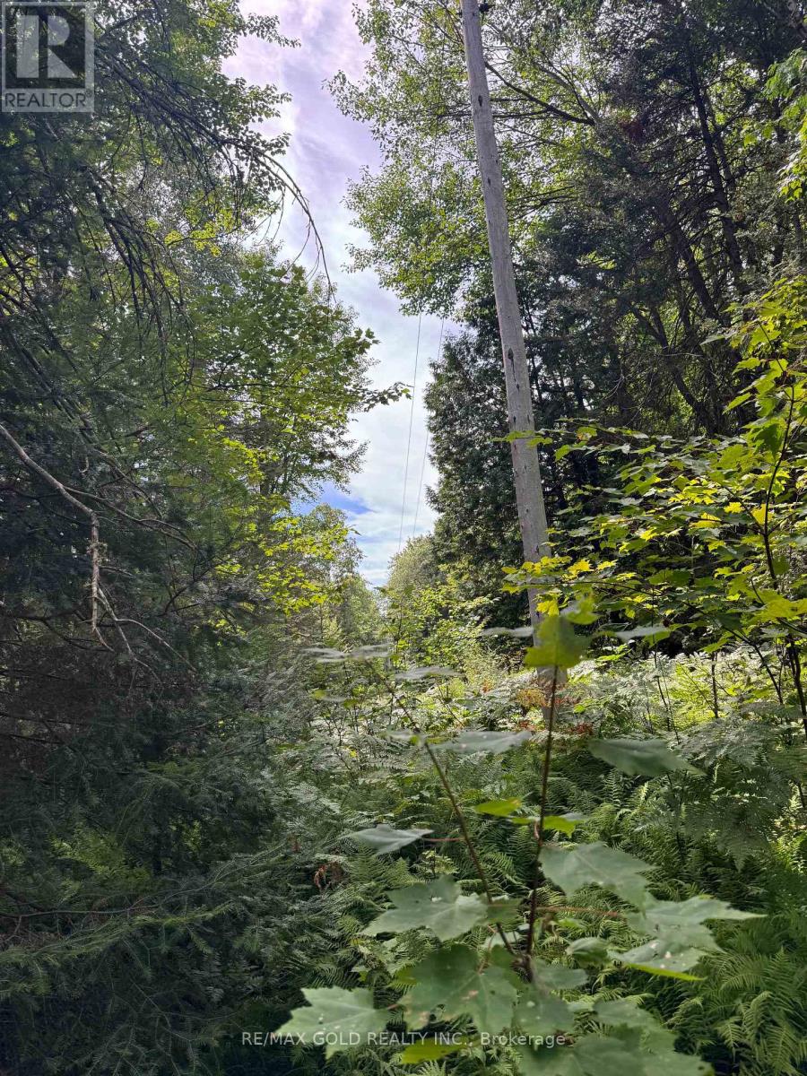 1791 Alsace Road Property Photo 11