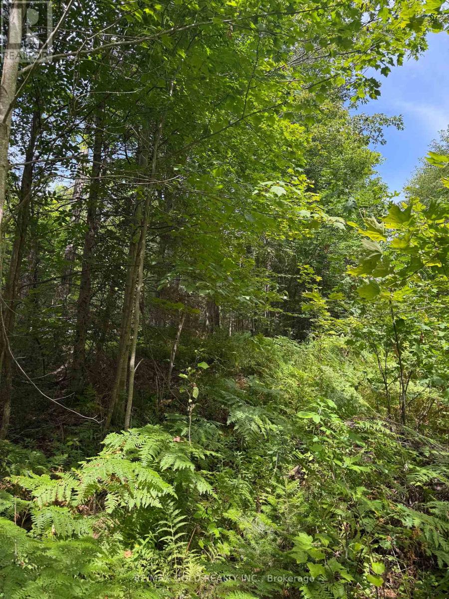 1791 Alsace Road Property Photo 12
