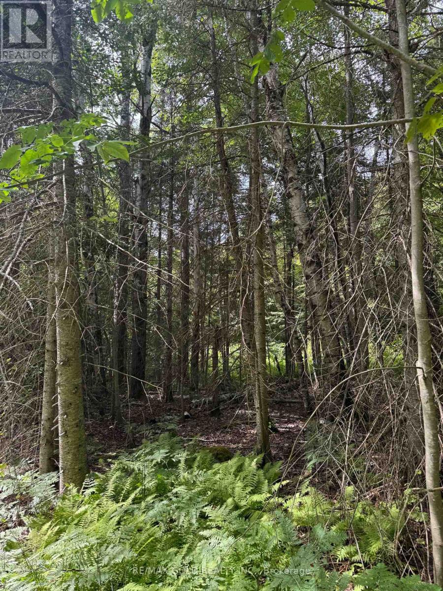 1791 Alsace Road Property Photo 14