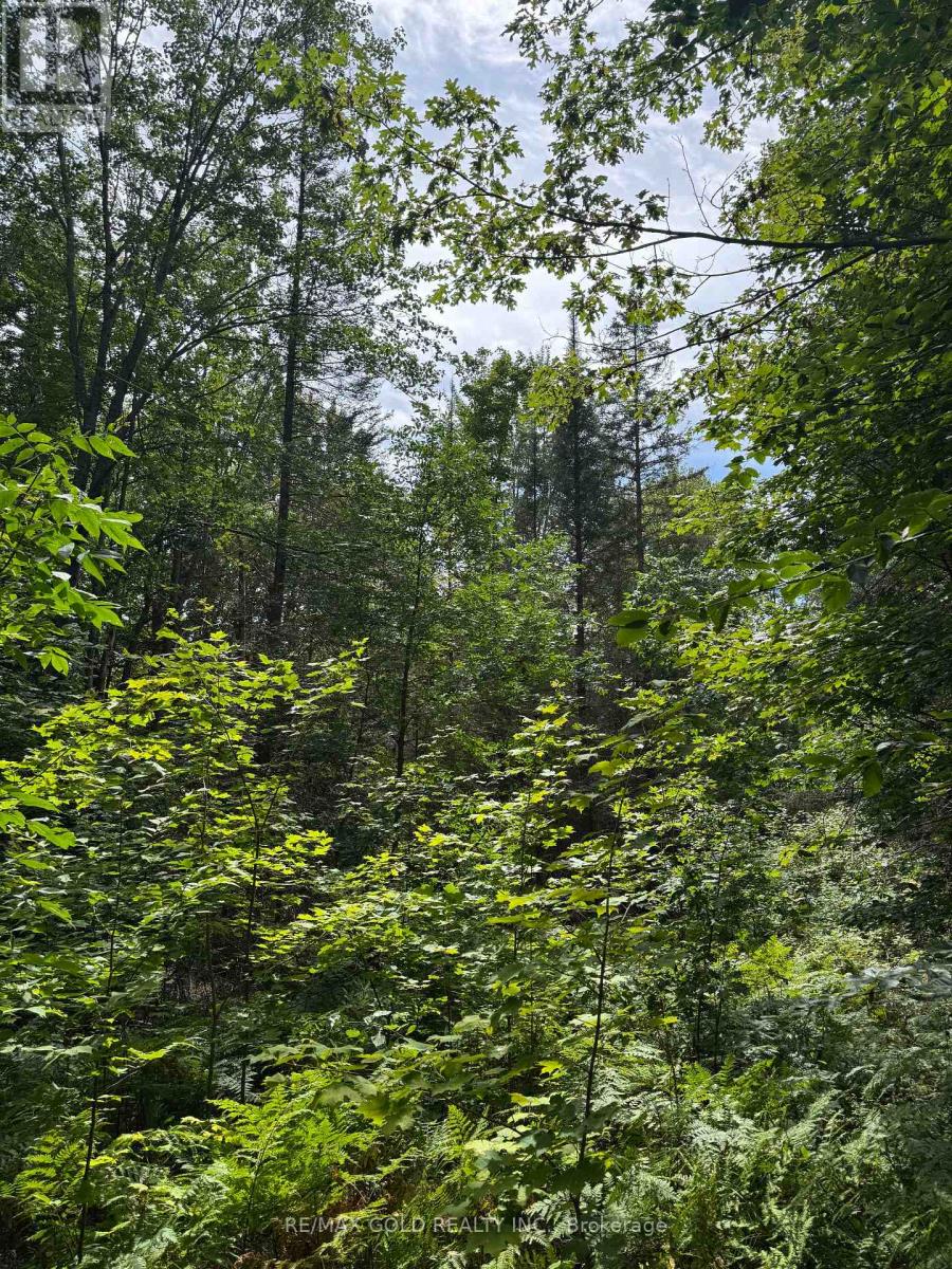 1791 Alsace Road Property Photo 17