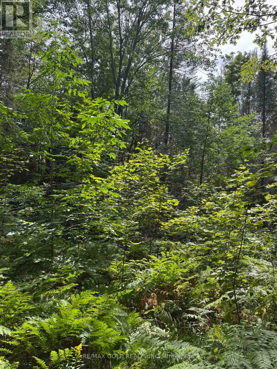 1791 Alsace Road Property Photo 20