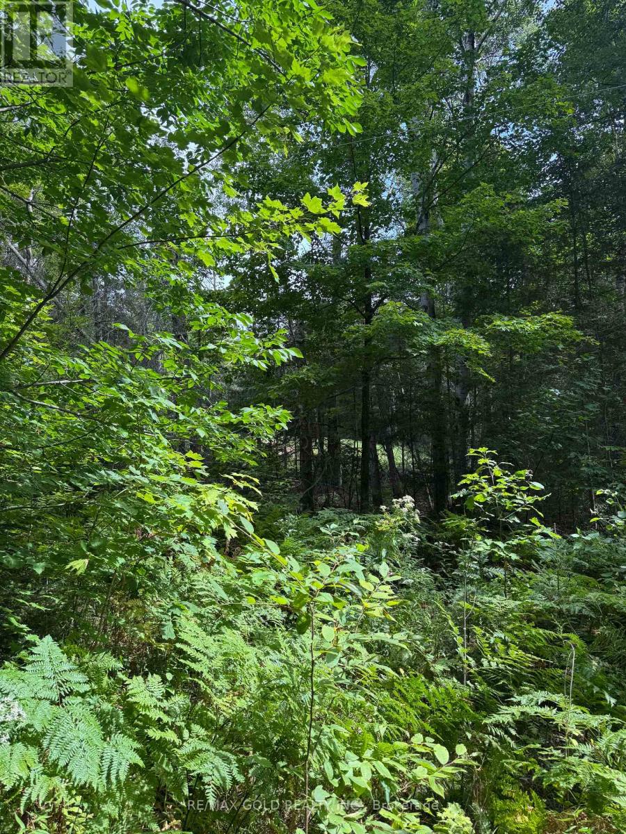1791 Alsace Road Property Photo 21